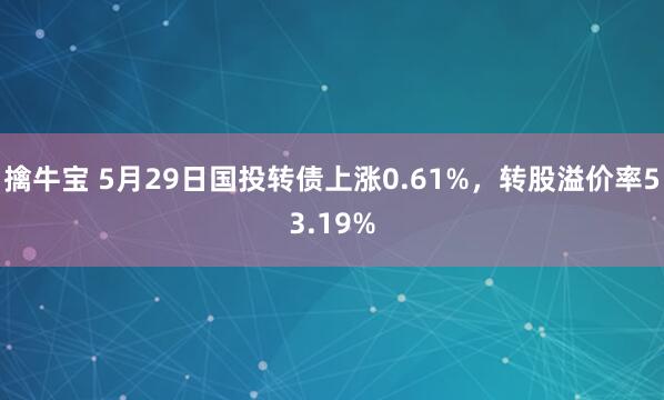 擒牛宝 5月29日国投转债上涨0.61%，转股溢价率53.19%