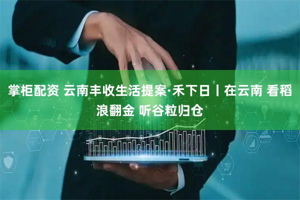 掌柜配资 云南丰收生活提案·禾下日丨在云南 看稻浪翻金 听谷粒归仓
