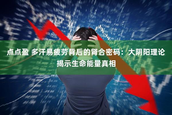 点点盈 多汗易疲劳背后的肾合密码：大阴阳理论揭示生命能量真相