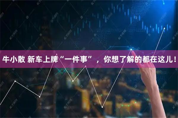牛小散 新车上牌“一件事” ,你想了解的都在这儿!